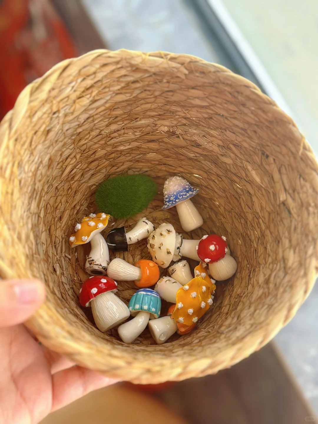 ?‍?进山采蘑菇的一天