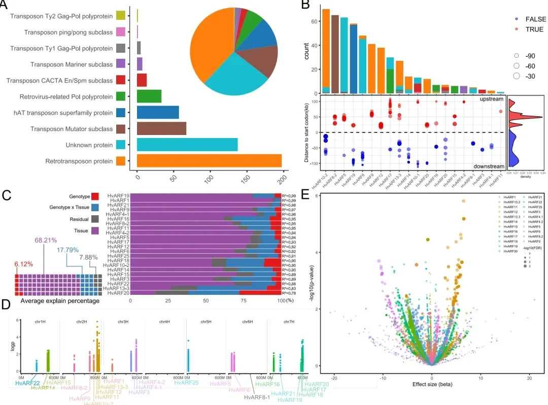 基于迭代组装的泛基因组分析