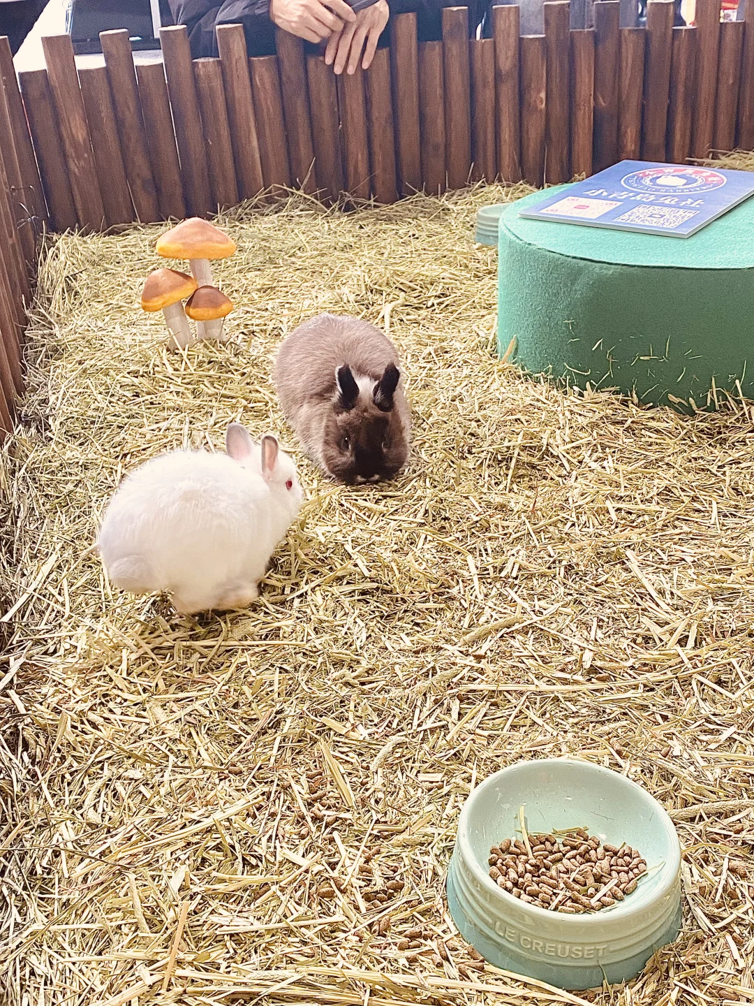 2025 UPet北京有宠生活展