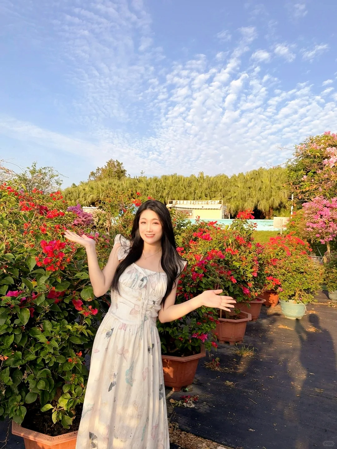 秋日氛围感天花板?西江花洲拍照+蝴蝶兰展