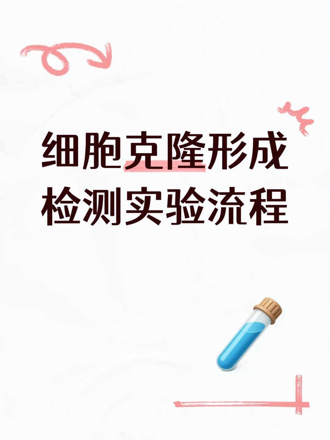 细胞克隆形成检测实验流程
