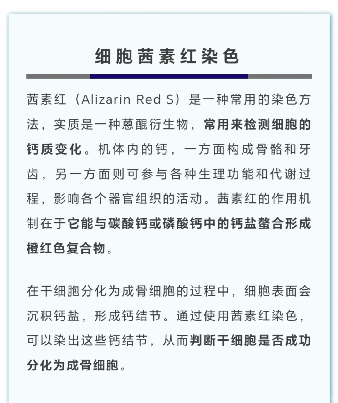 细胞染色指南,从入门到精通