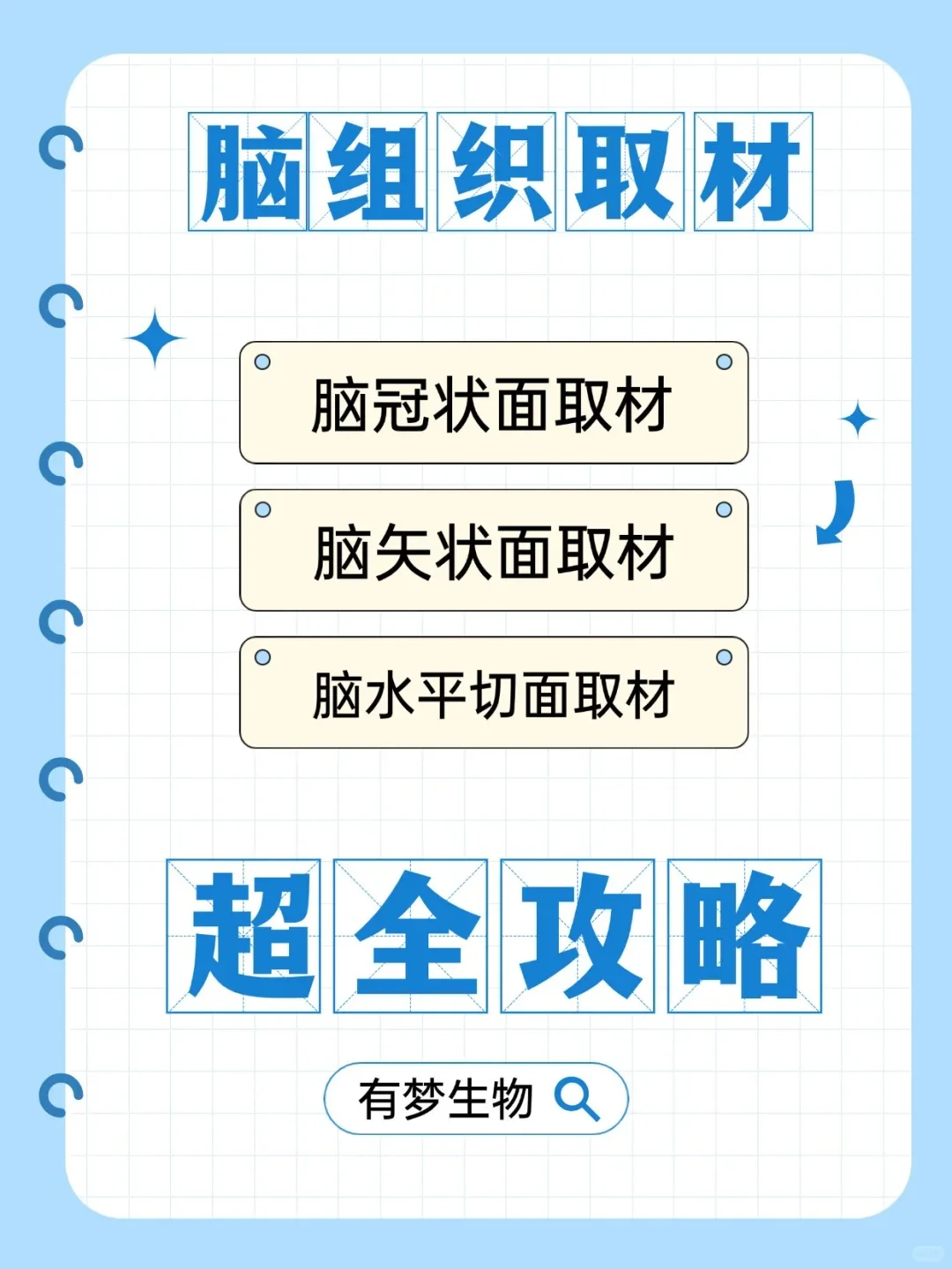 脑科学解剖指南｜三维切面解析