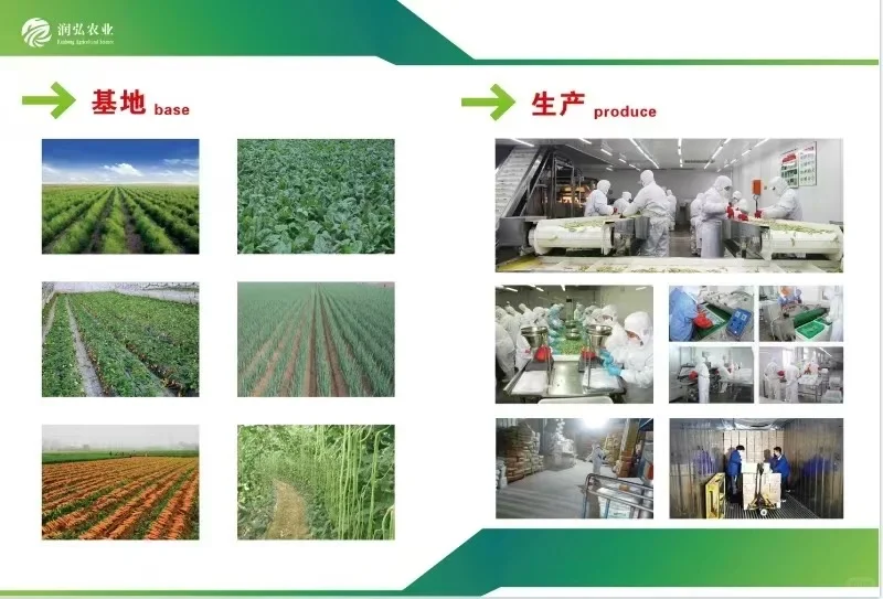 ?速冻蔬菜工厂大公开！让生鲜蔬菜更方便