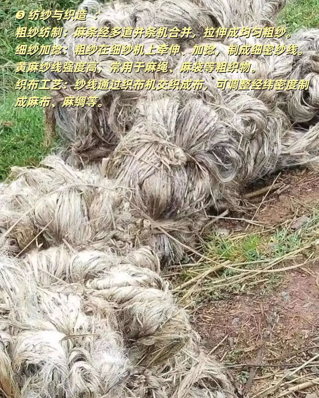 黄麻“变形记”|黄麻从收割到成品的全流程揭