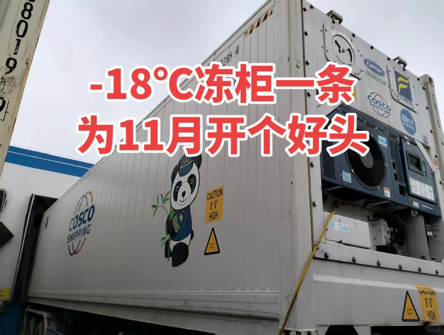 11月冻柜开大头 美国加拿大冻柜货代