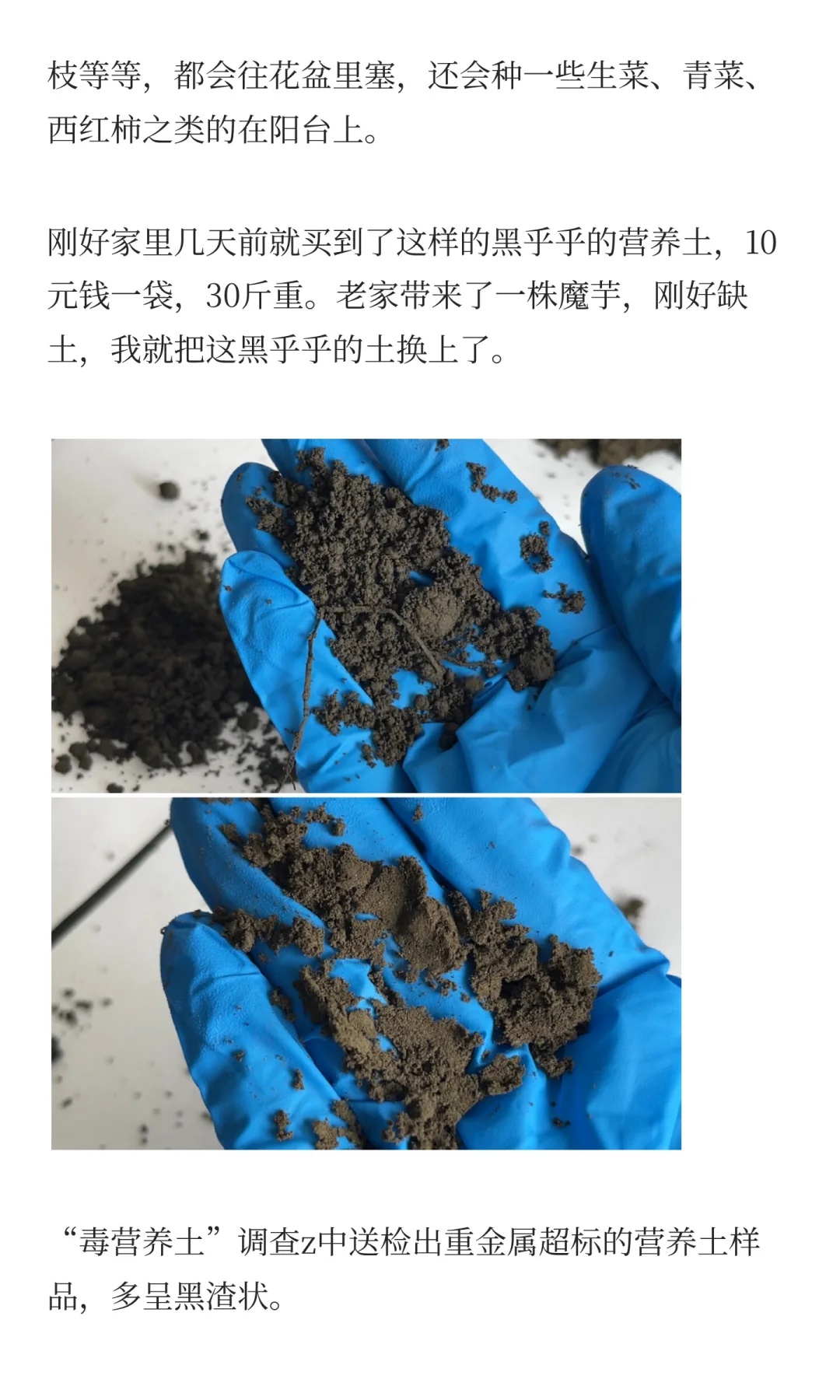 旁白｜“毒营养土”调查背后的暗访记者们