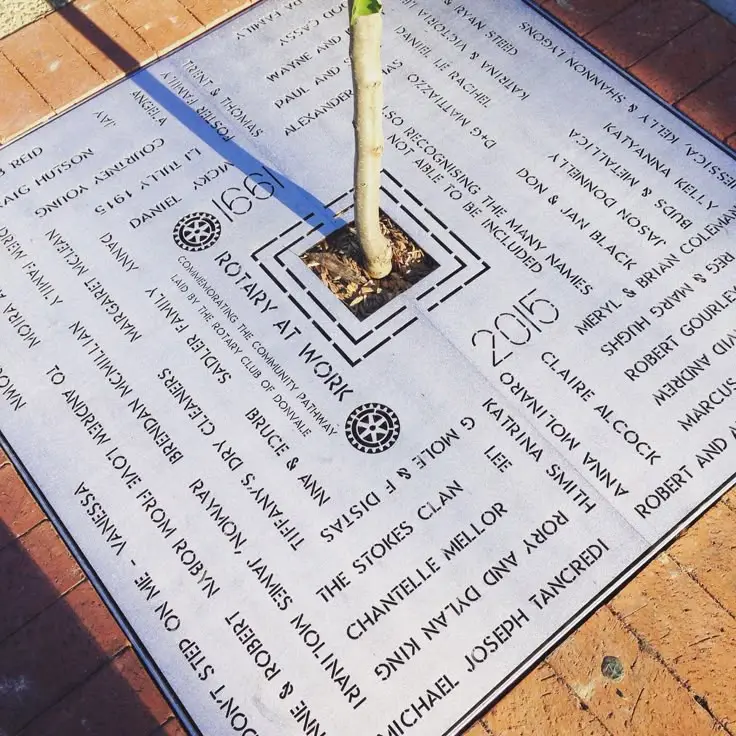 景观元素——树池篦子