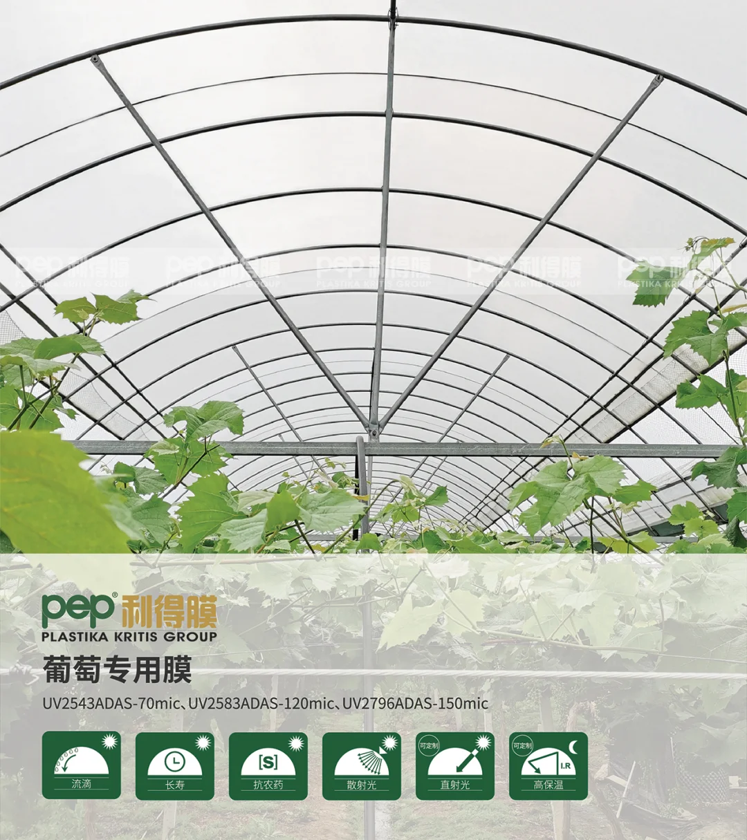 温室大棚膜知多少