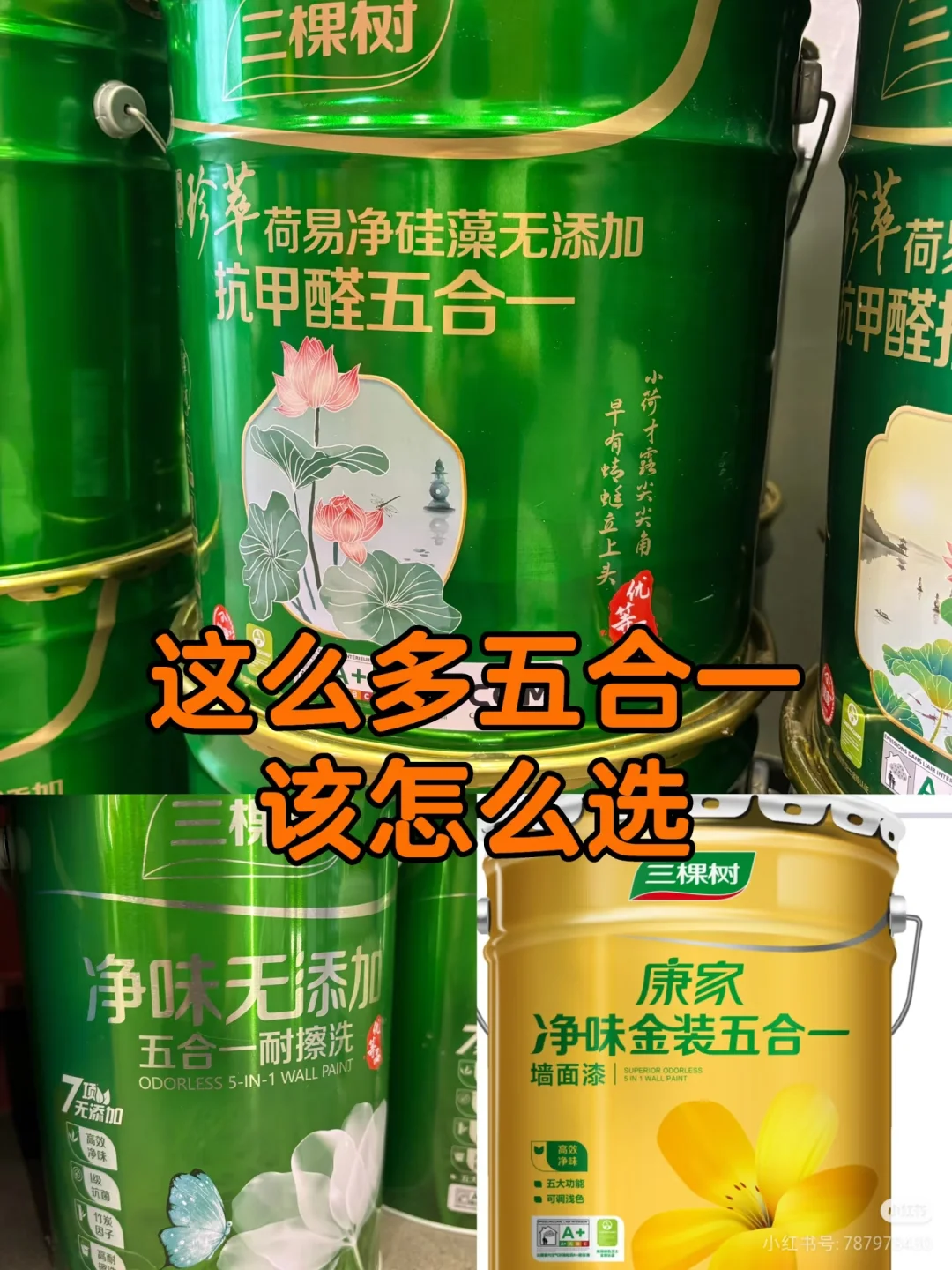 快看❗️三棵树这么多五合一到底有什么区别