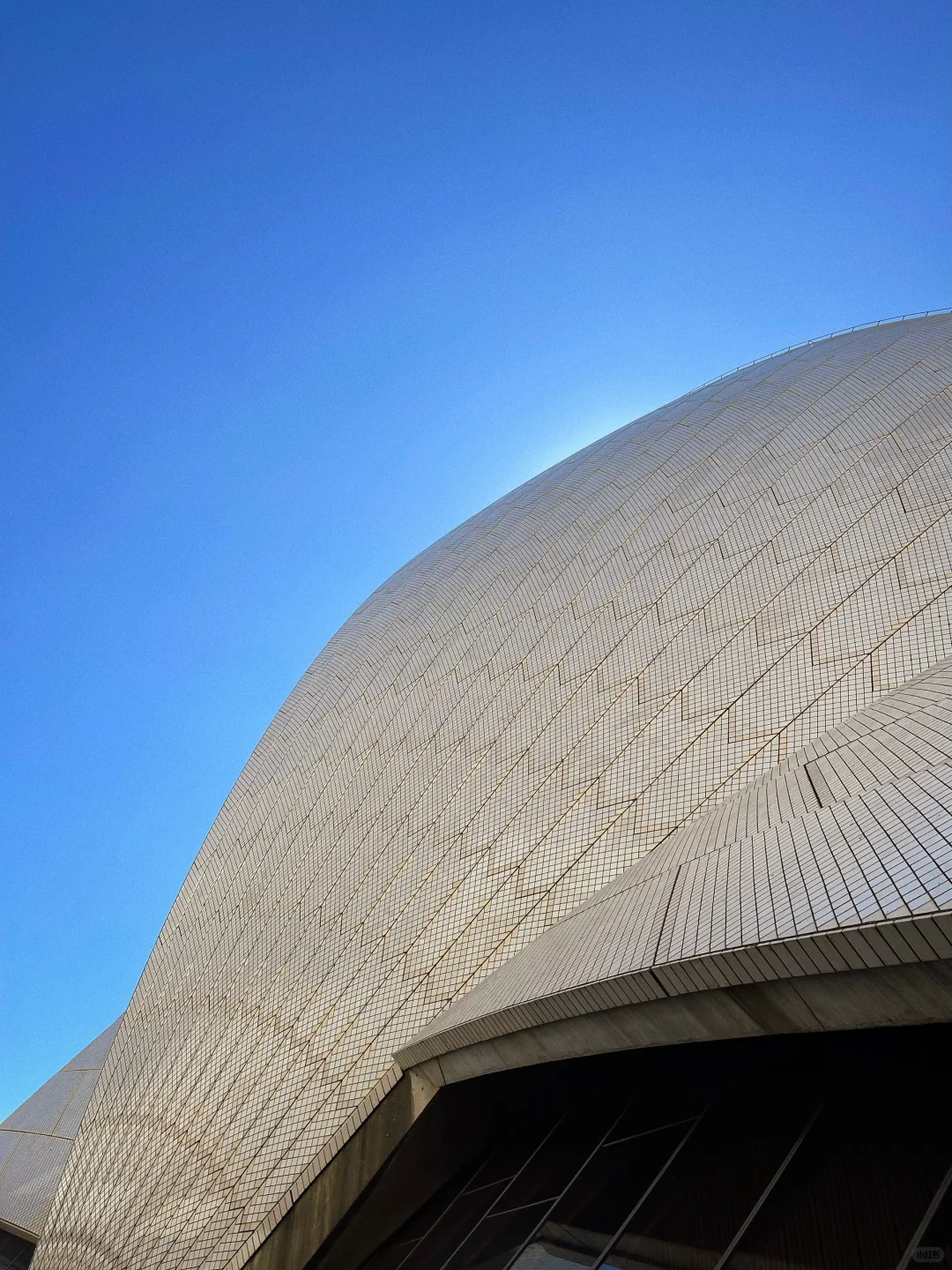 澳大利亚??悉尼歌剧院亲测攻略?️?☀️?