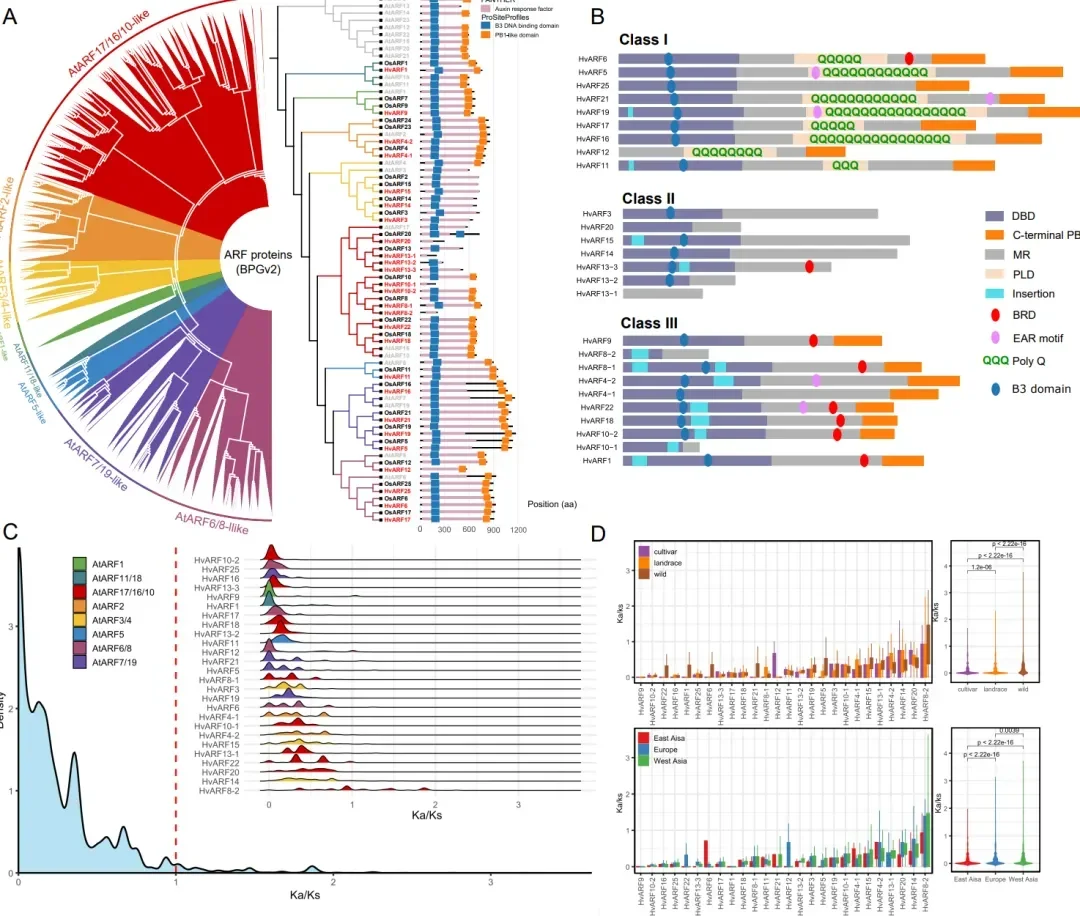 基于迭代组装的泛基因组分析