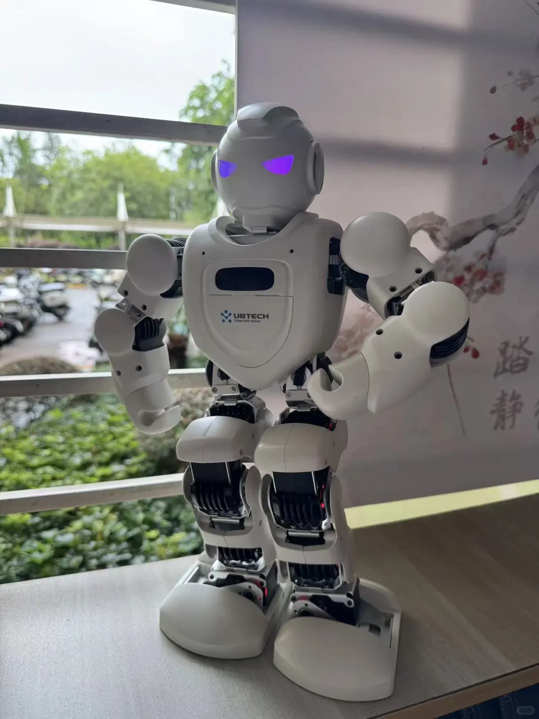 暑期最满意的投资——ebot机器人