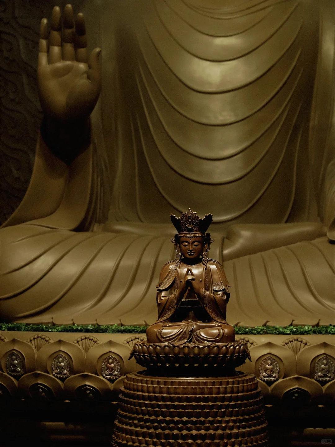 提前到达厦门展会…