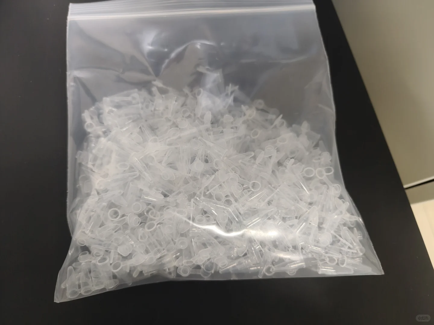 分子试验的一天