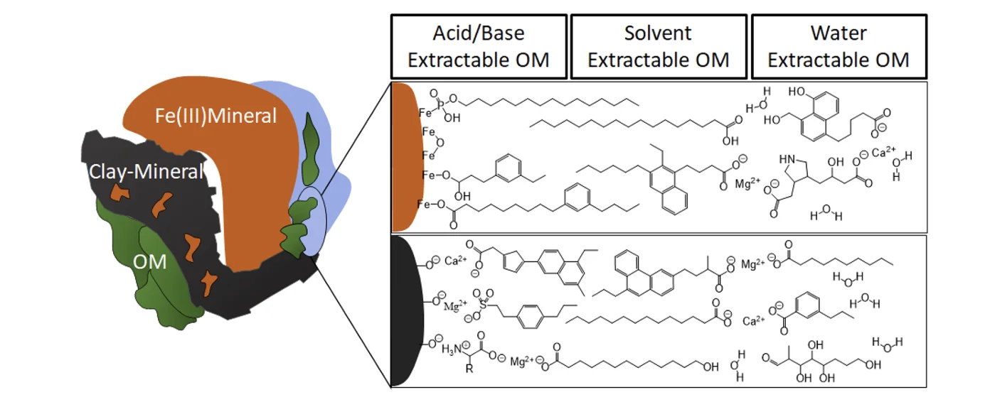 傅里叶变换离子回旋共振质谱（FTICR MS）