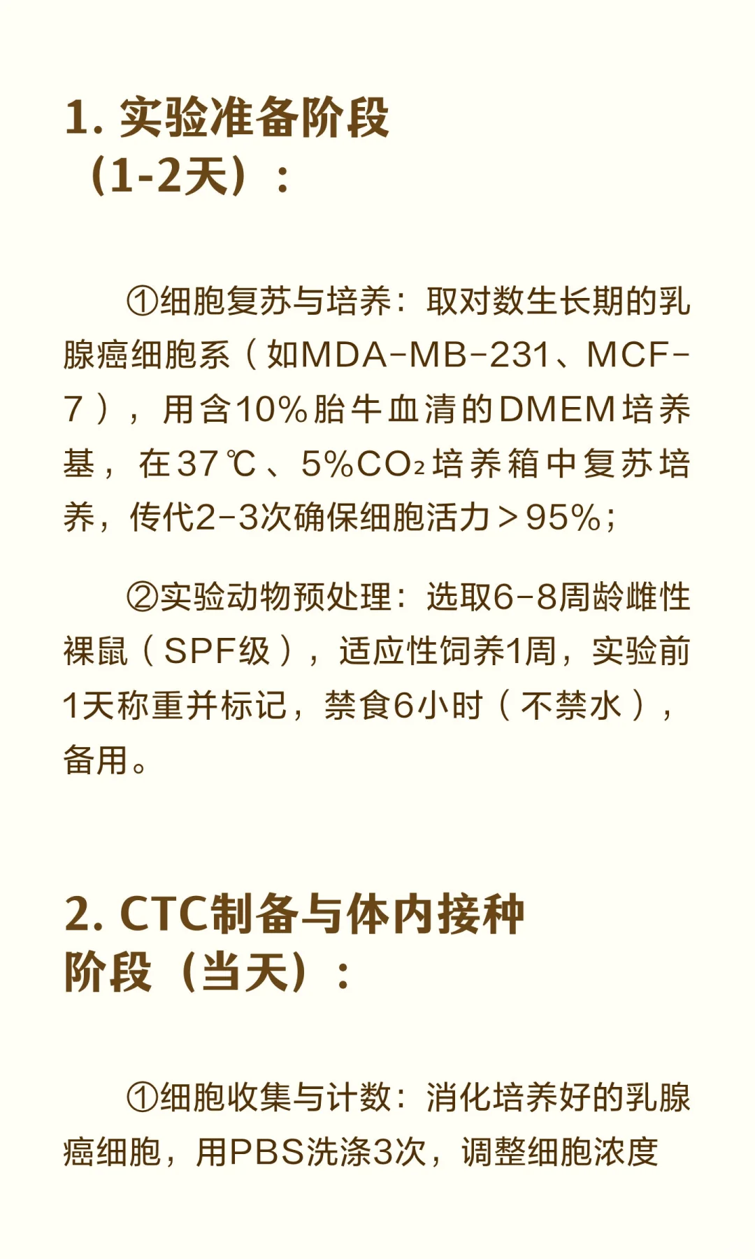 循环肿瘤细胞(CTC)模拟乳腺癌血行转移模