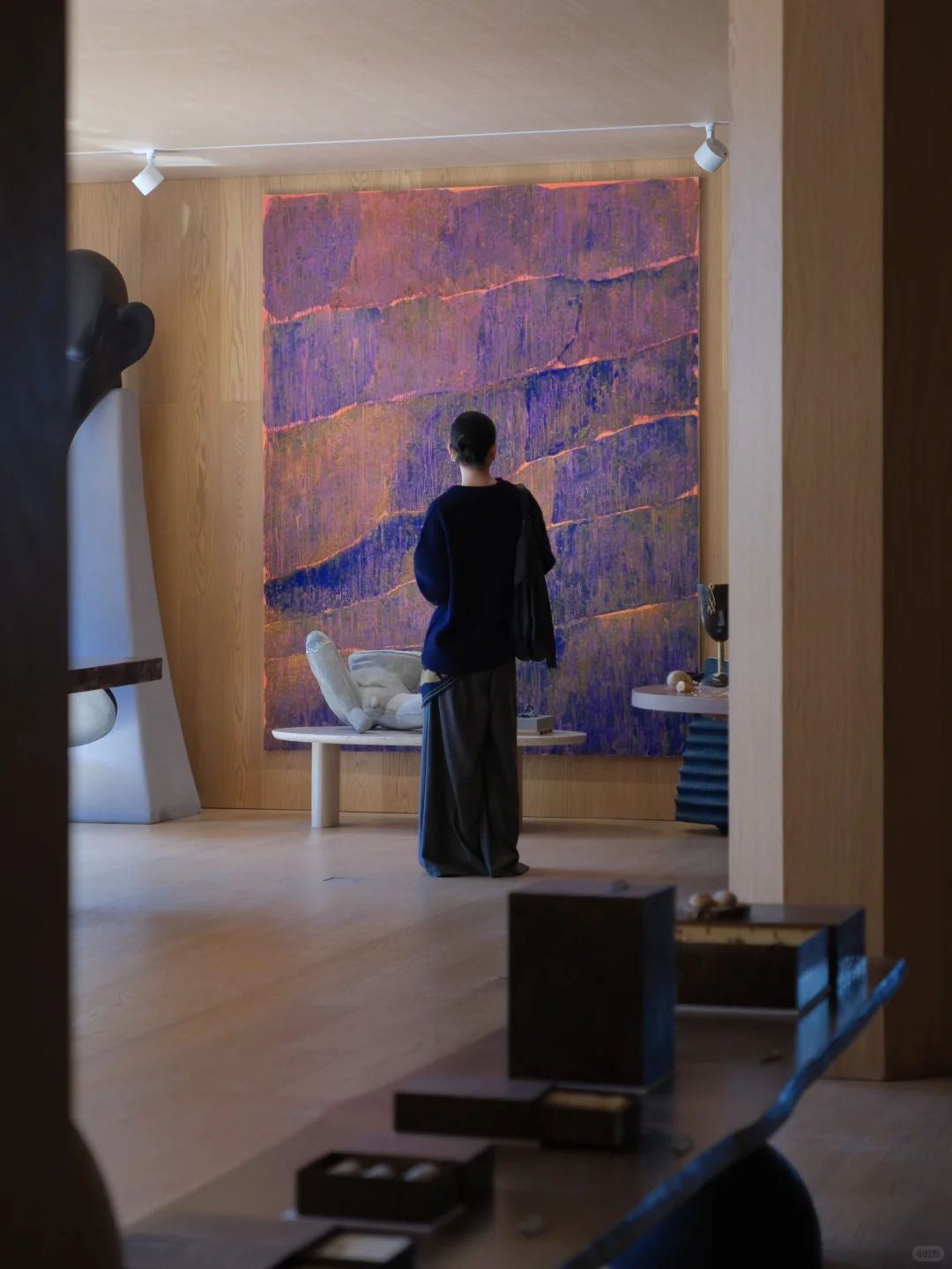 上海新展 ? Suhe Haus苏河皓司?N展连看