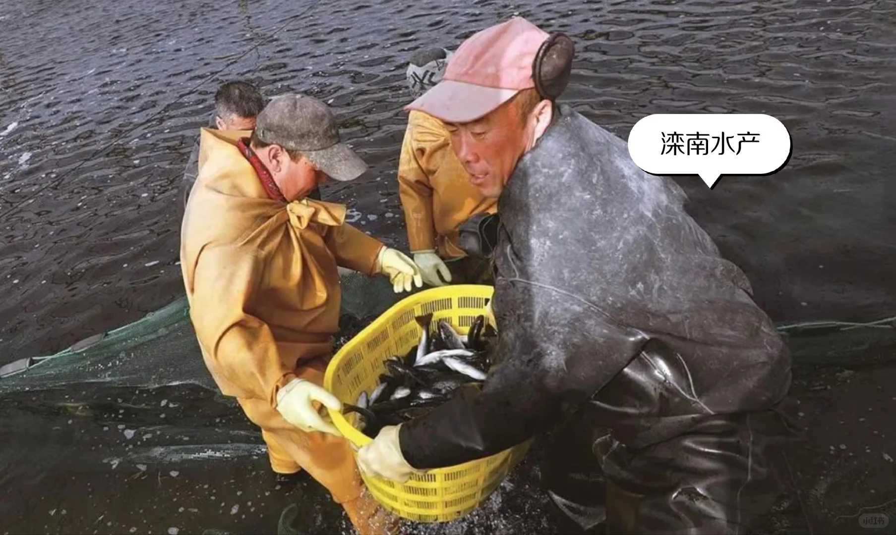 “绿色 + 智能” 养鲈鱼!滦南这招太牛啦