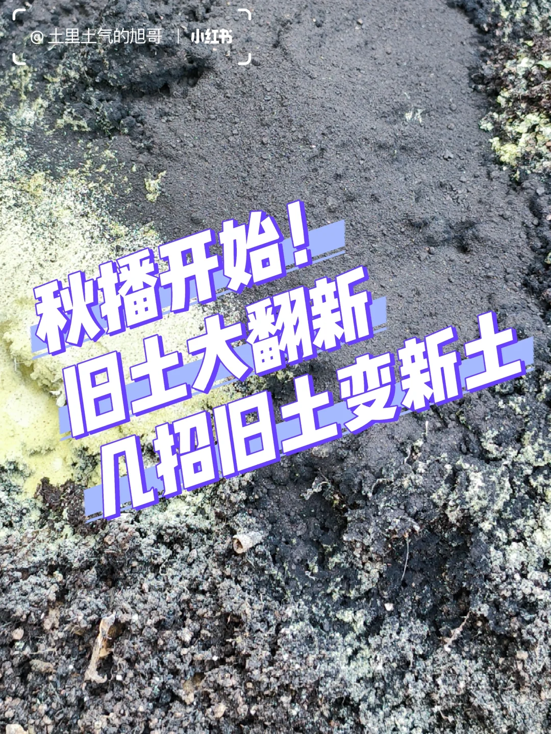 旧土翻新术0成本救活废土&灭虫养土搞定