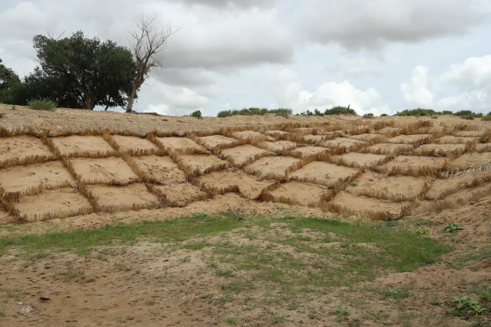 浑善达克沙地修复的秘密，你... 知道么！