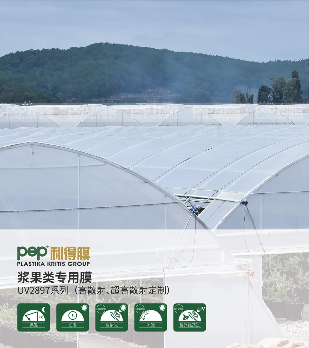 温室大棚膜知多少