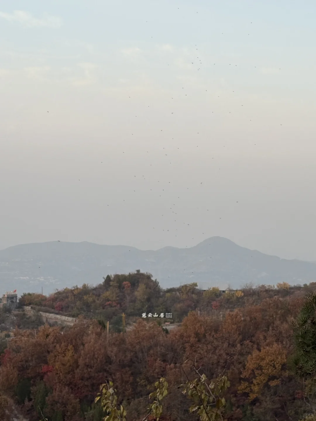 巩义达西沟赏红叶保姆级攻略?