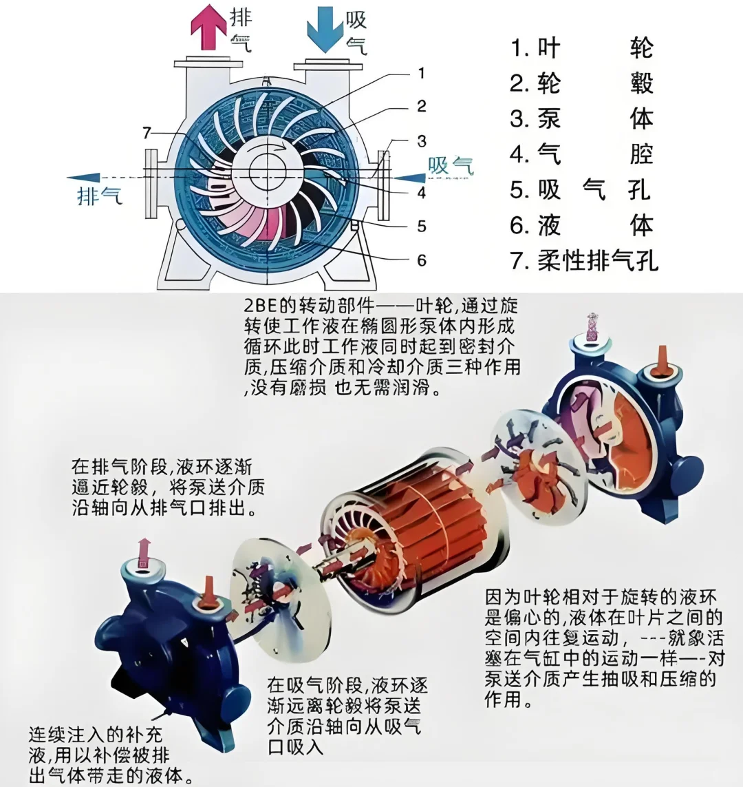 #真空泵原理 分类解析