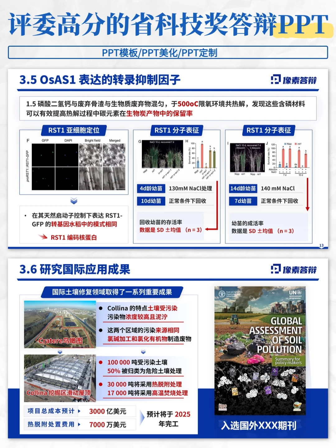 惊艳全场?我给导师的省科技奖PPT赢麻了