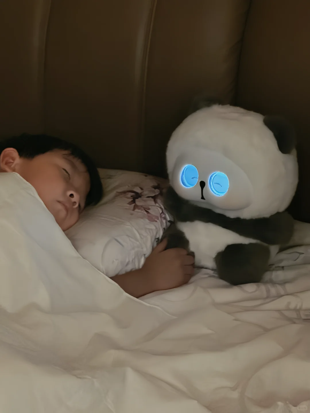 暑假玩伴找到了！电子毛孩子比我更会陪娃