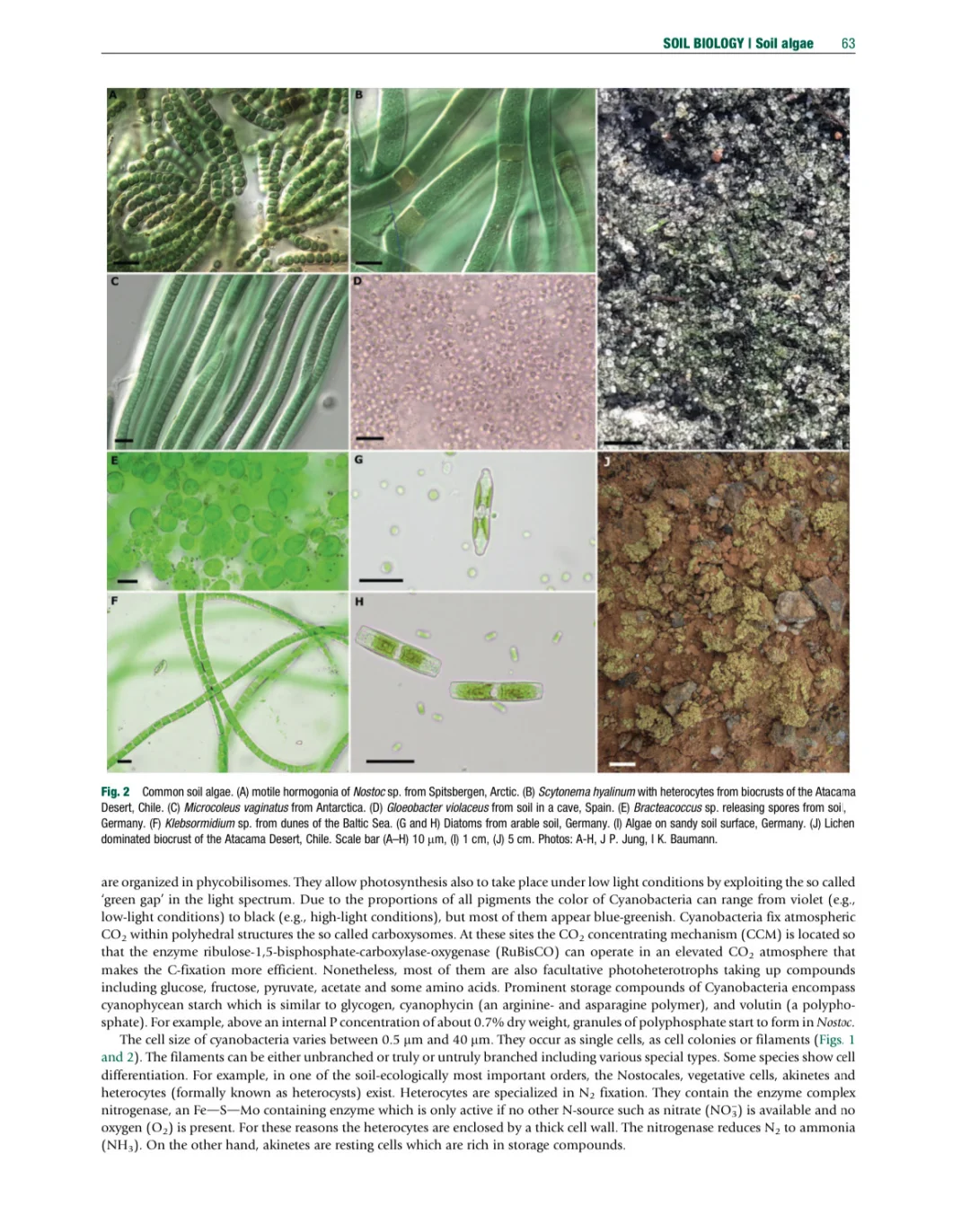 环境土壤学百科全书 第二版