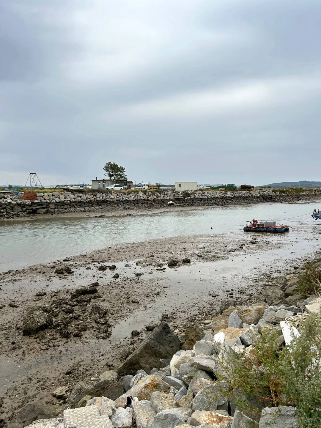✨ 大连海参人工养殖基地