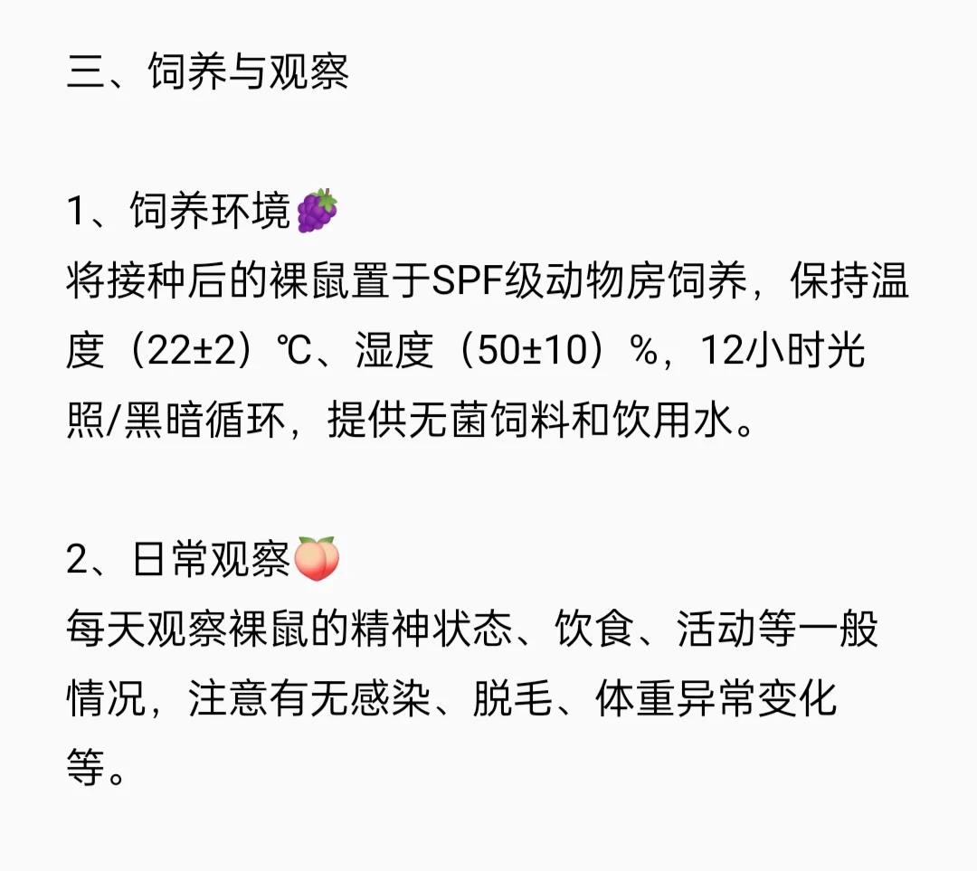 裸鼠成瘤实验流程