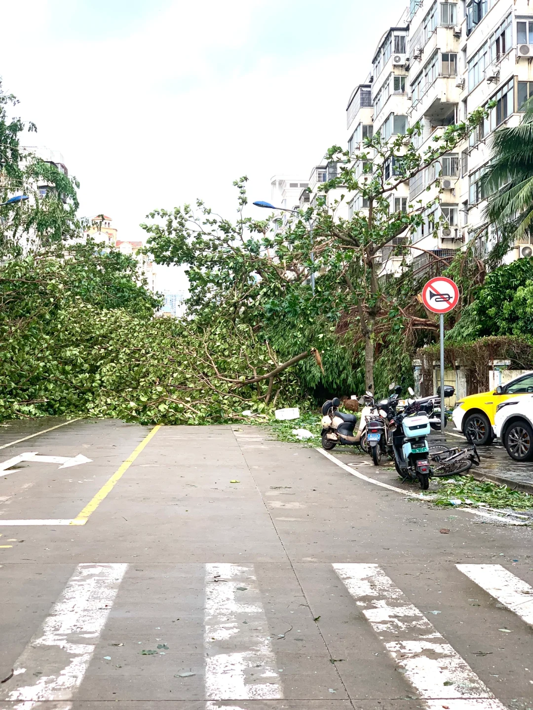 台风“摩羯”后的家?｜断桥铝门窗的重要性