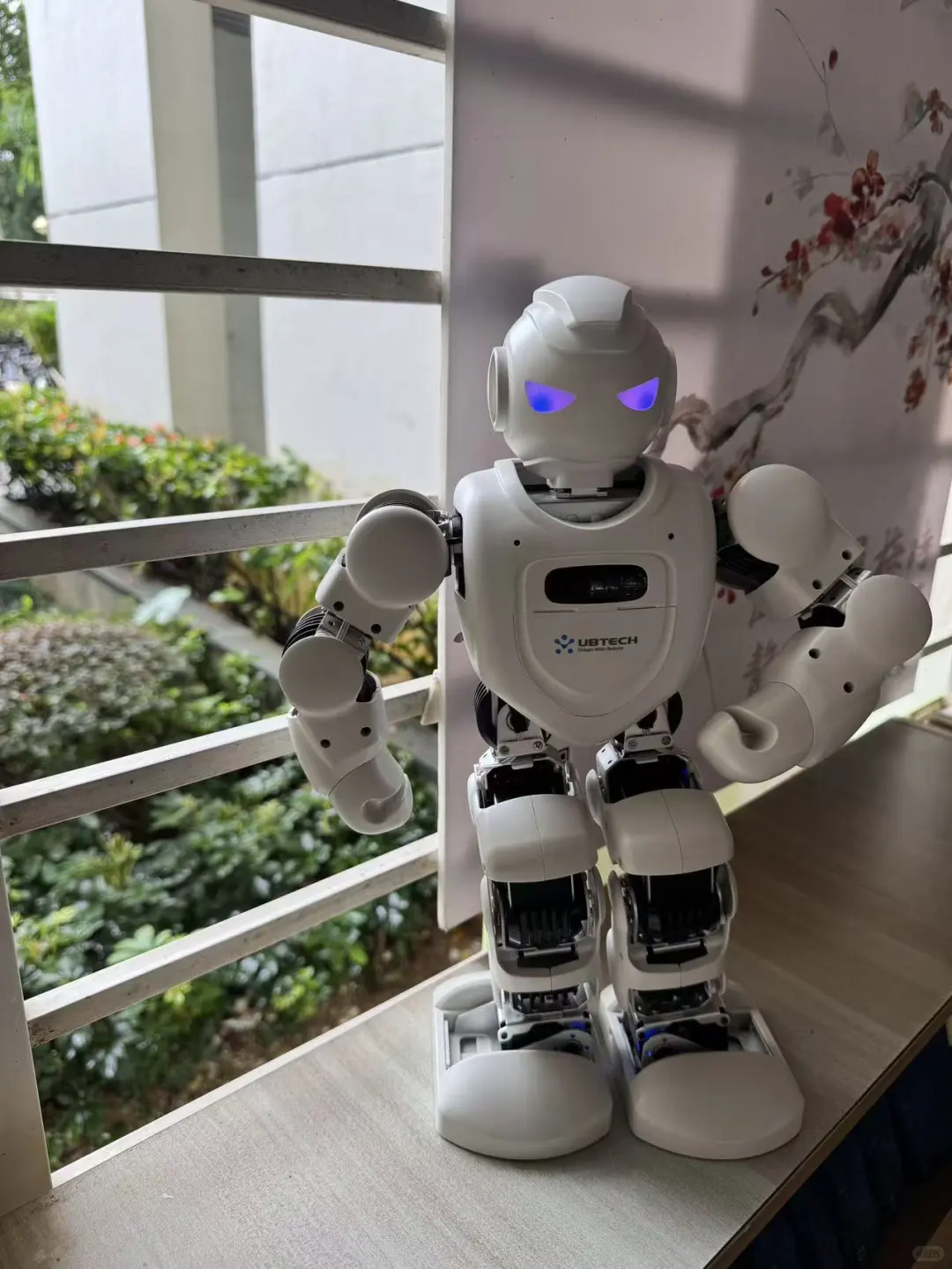 暑期最满意的投资——ebot机器人