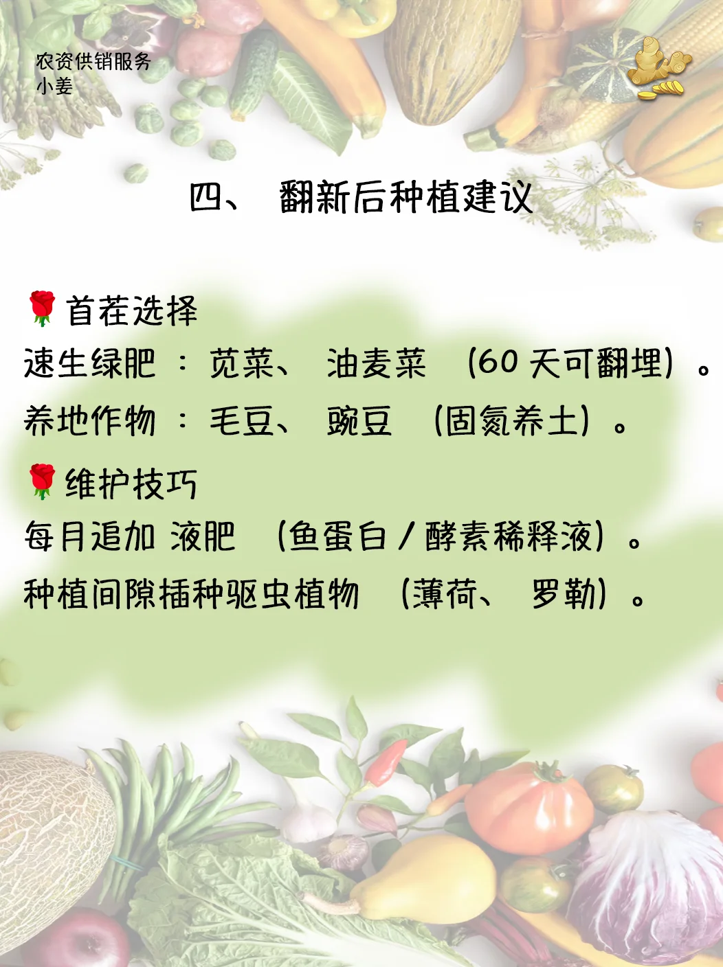 ?【总结篇】小菜园旧土翻新判断及处理