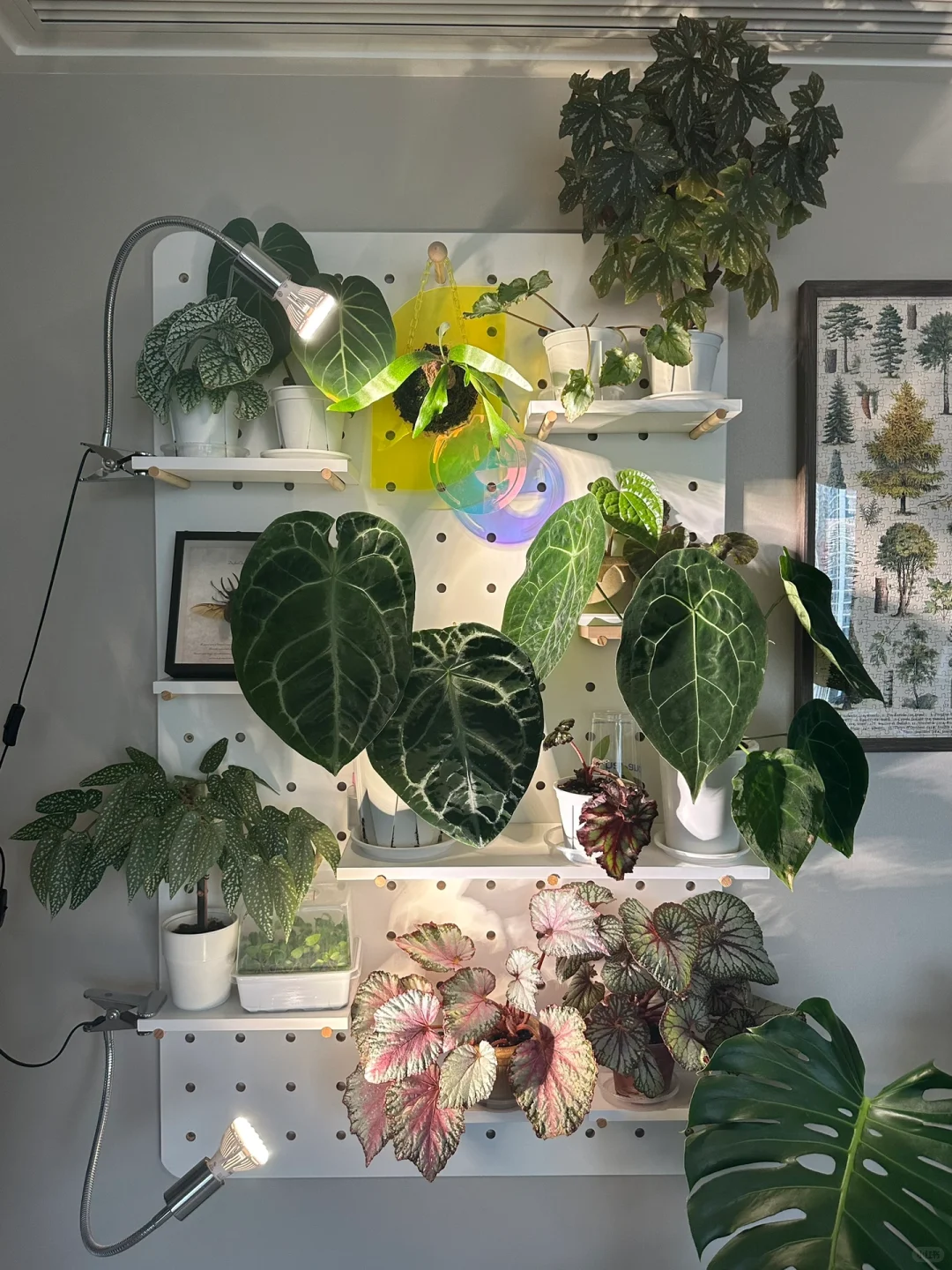 一个正经的温湿度计对比