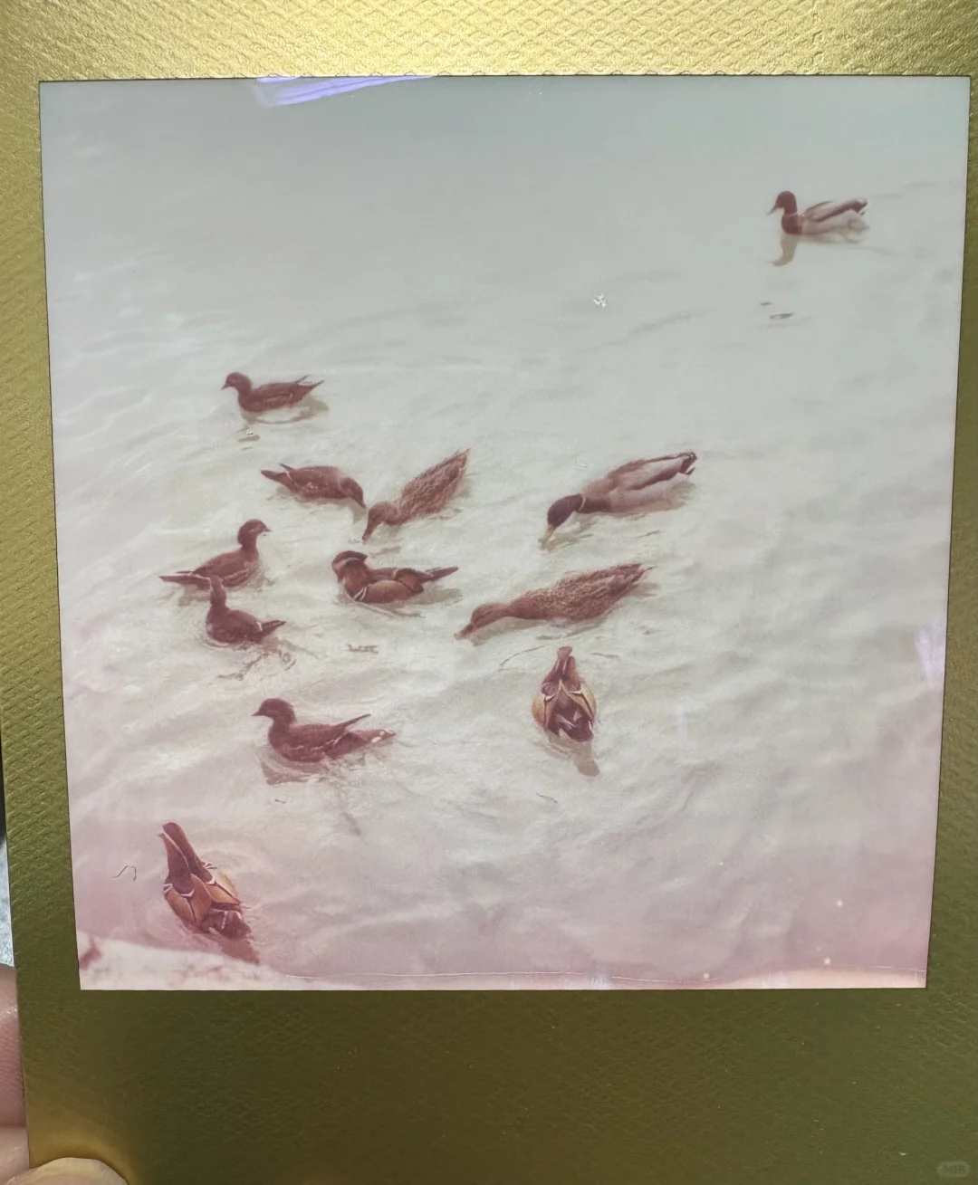 当你在阴天带一堆奇怪设备去颐和园