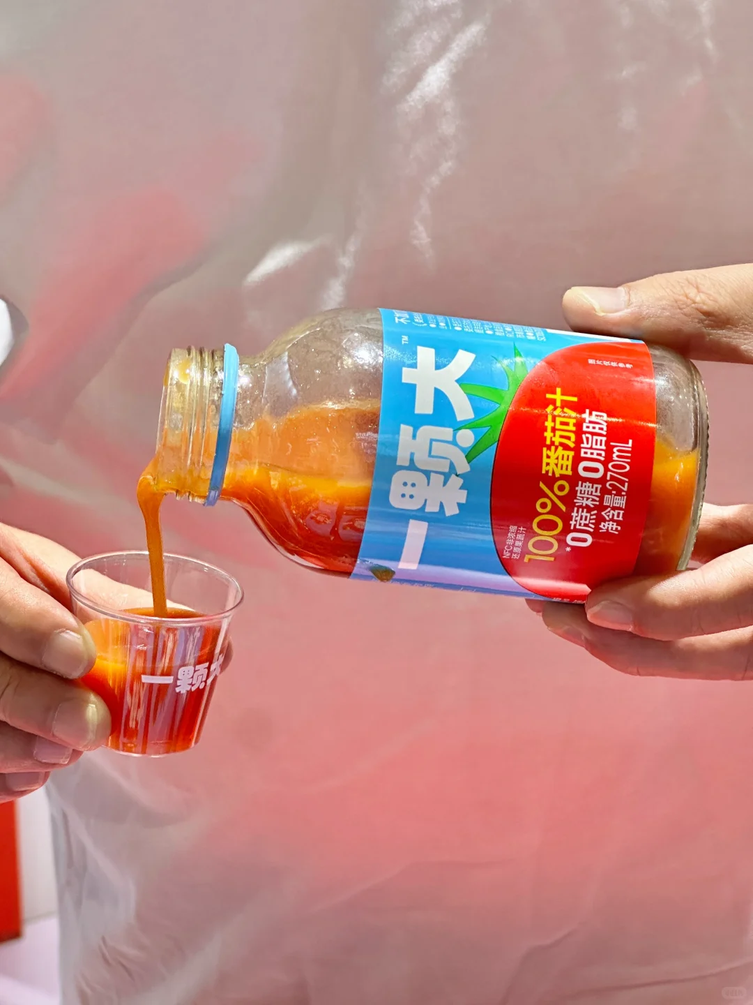 重生之我在上海展览吃到了人生番茄?!