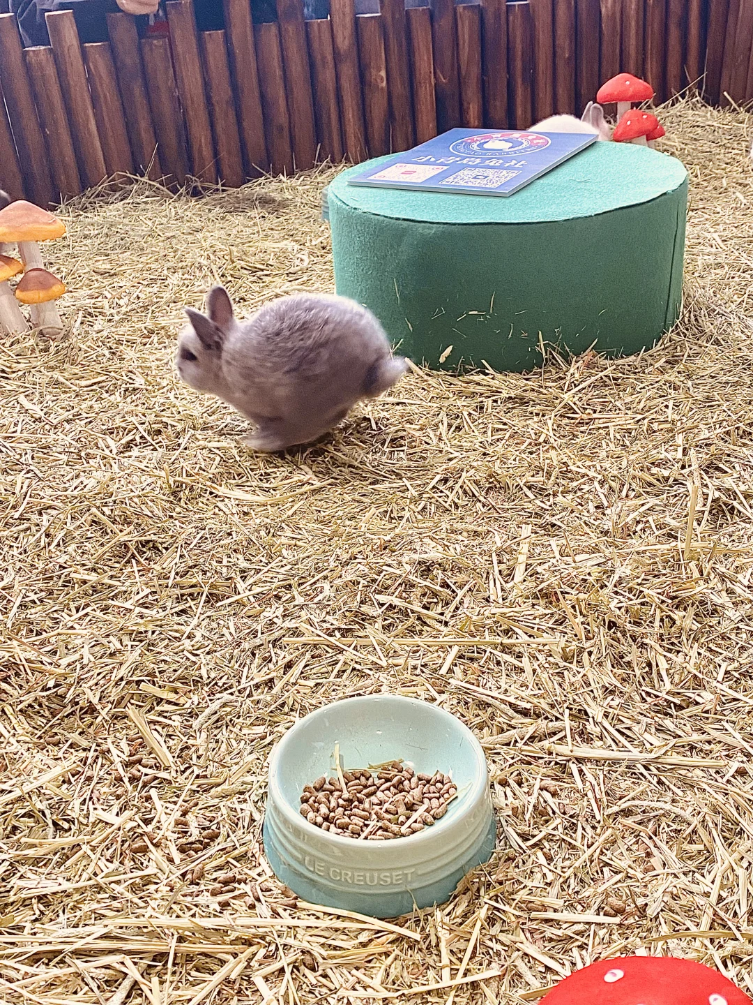 2025 UPet北京有宠生活展