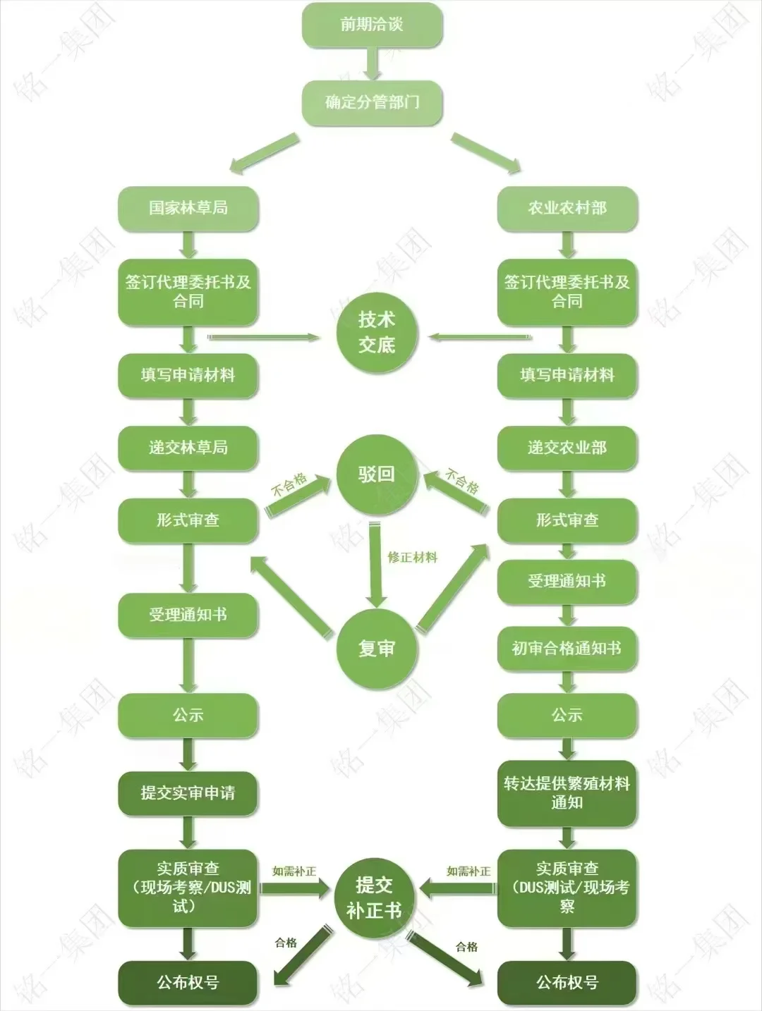 植物新品种如何申请保护