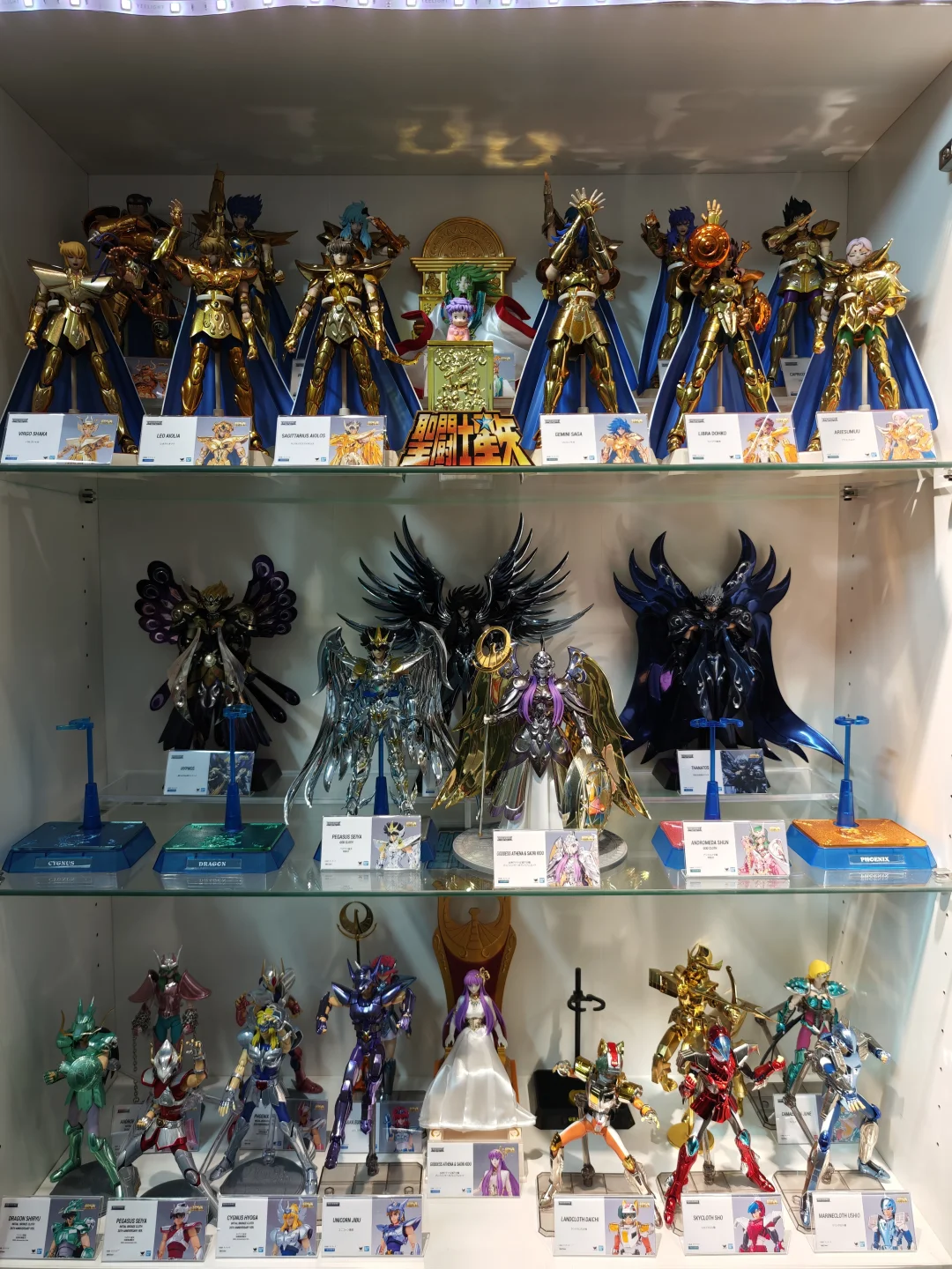 收藏15年的成果 190+圣衣神话爆柜！！！