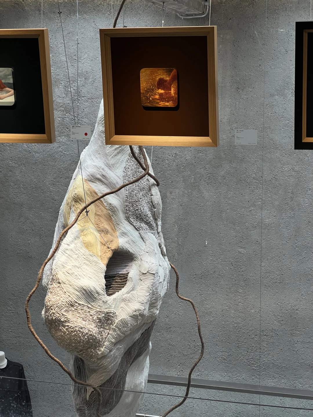 看展日 · 以平静的心慢度日常