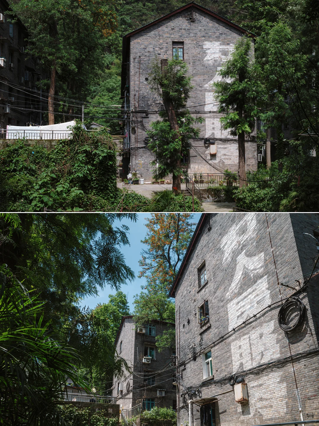 |川仪系列|川仪一厂