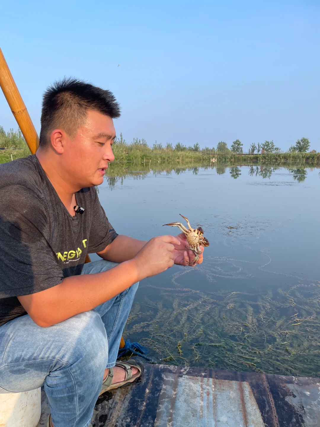 微山湖蟹农今年想试试在小红书卖大闸蟹