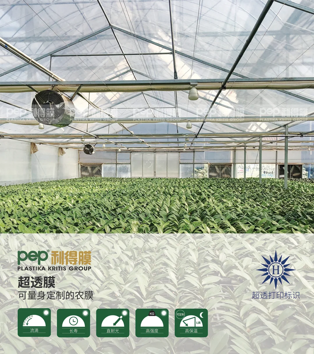 温室大棚膜知多少