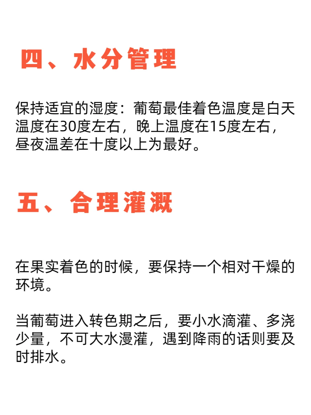 葡萄进入着色期应该注意什么