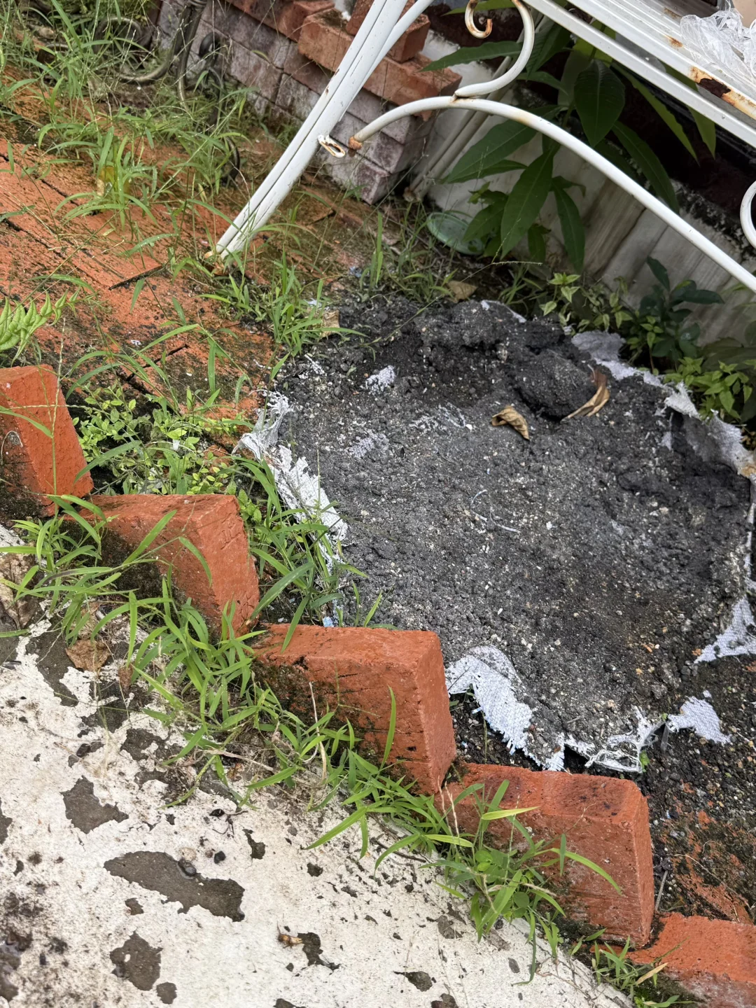 工业废图 受害者➕1