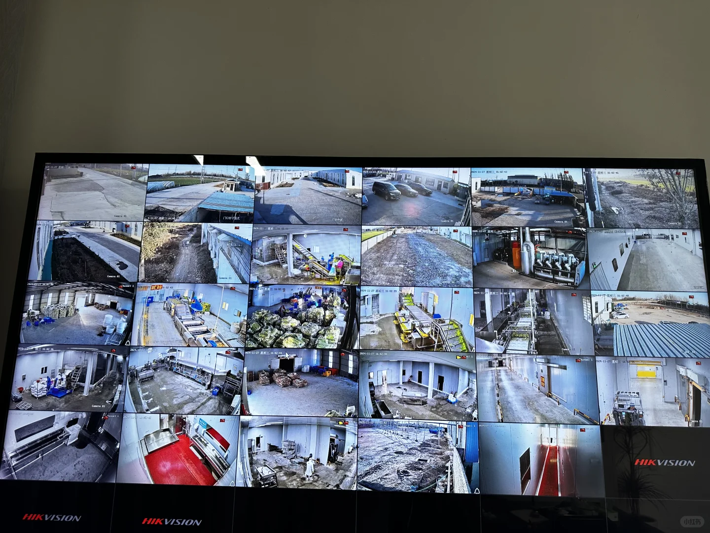 ?速冻蔬菜工厂大公开！让生鲜蔬菜更方便