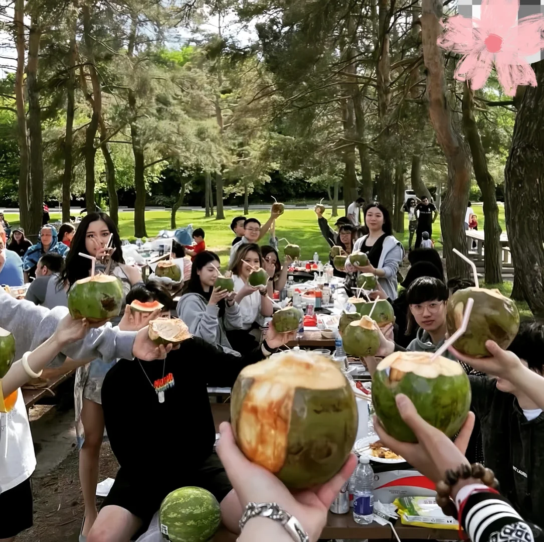 约克大学2026Fall申请已开放